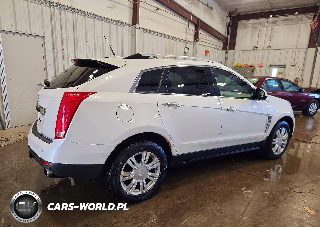 2010 Cadillac Srx Luxury Collection VIN:3GYFNDEY4AS650925 - 3