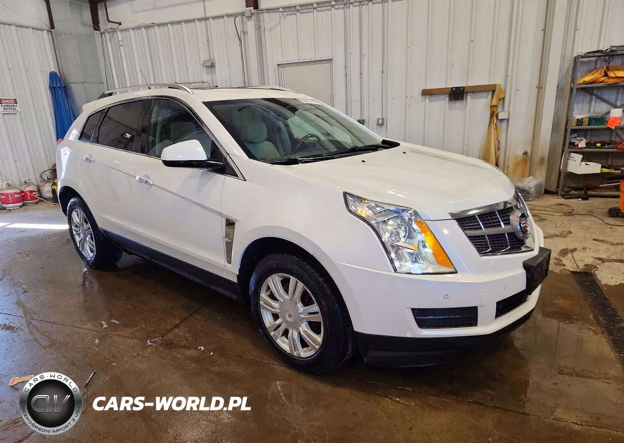 2010 Cadillac Srx Luxury Collection VIN:3GYFNDEY4AS650925 - 4