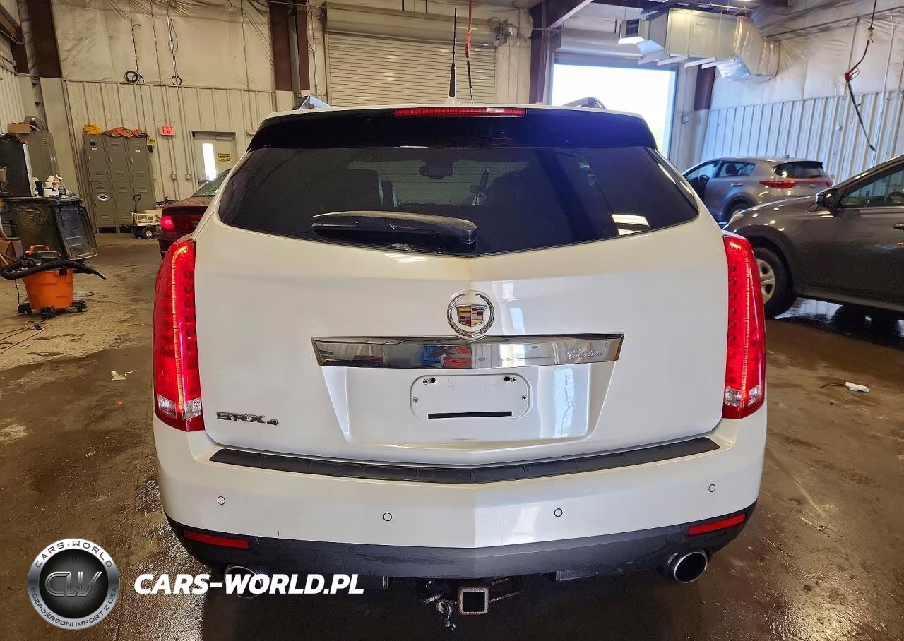 2010 Cadillac Srx Luxury Collection VIN:3GYFNDEY4AS650925 - 6
