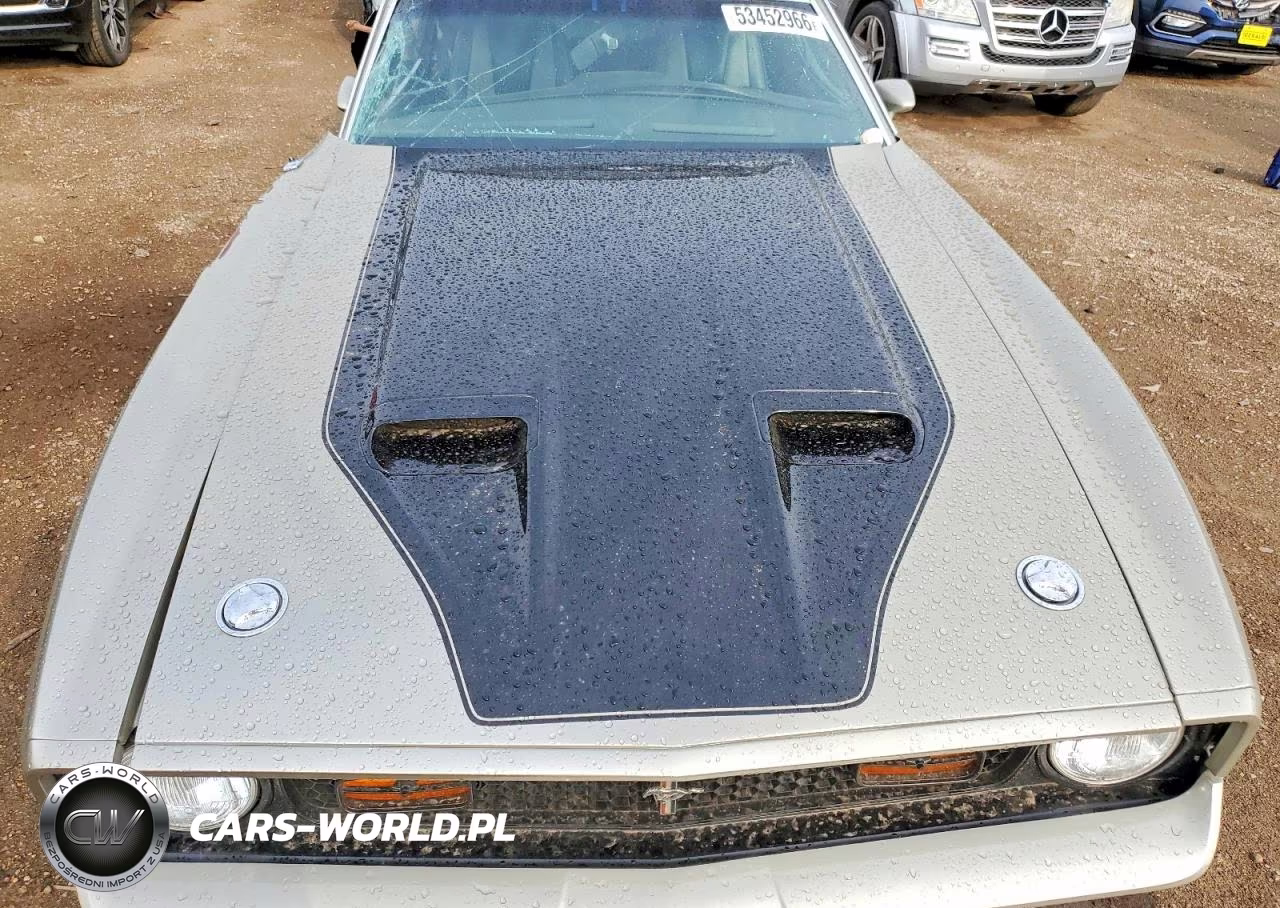 1971 Ford Mustang Mach I VIN:1F05H133073 - 11