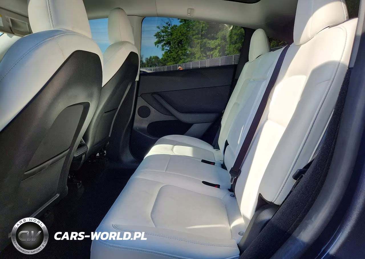 2023 Tesla Model Y VIN:7SAYGDEEXPF852963 - 10
