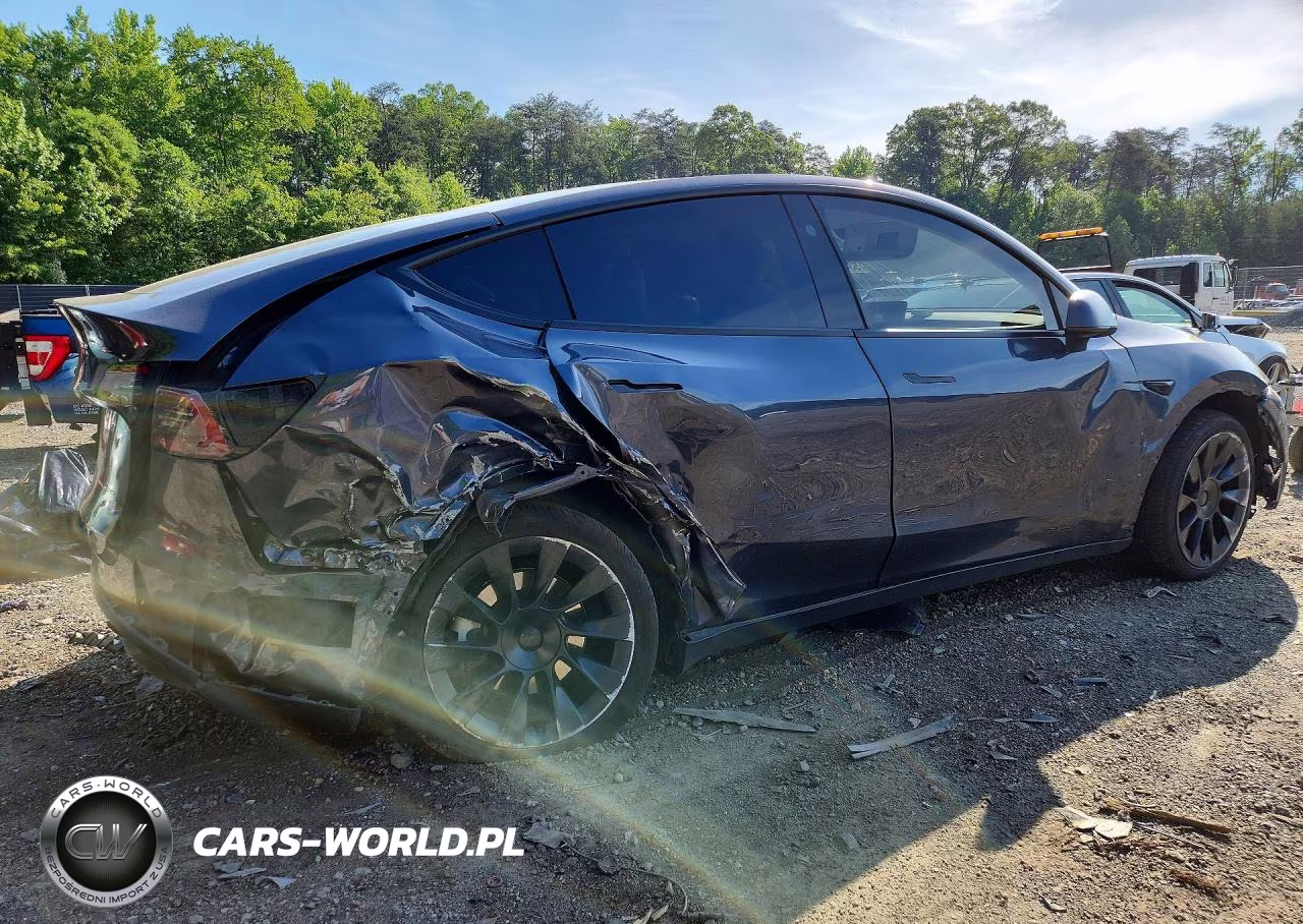 2023 Tesla Model Y VIN:7SAYGDEEXPF852963 - 3
