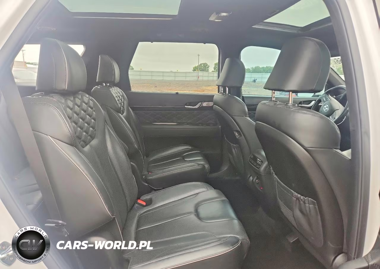2020 Hyundai Palisade Limited VIN:KM8R5DHE7LU155380 - 11