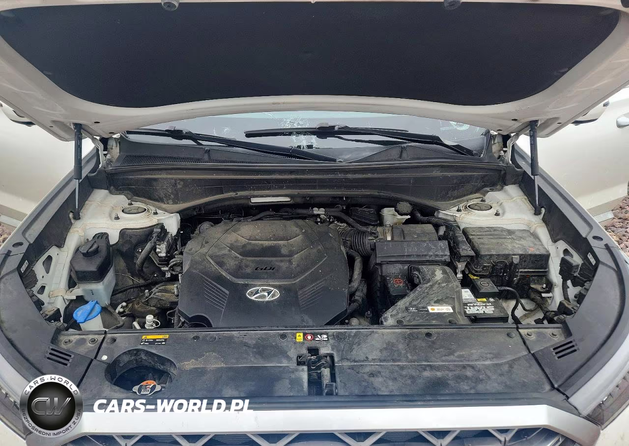 2020 Hyundai Palisade Limited VIN:KM8R5DHE7LU155380 - 12