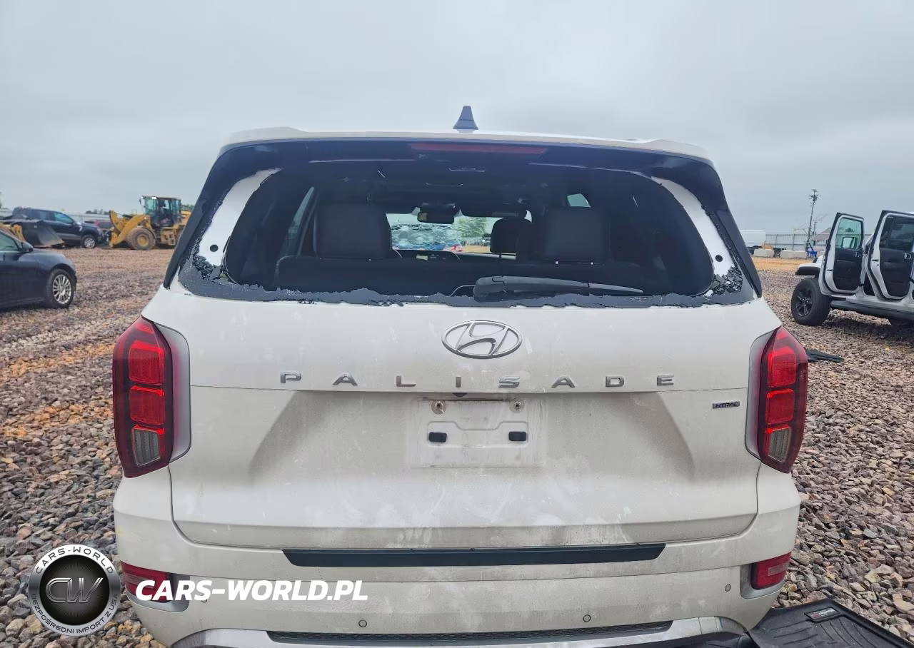 2020 Hyundai Palisade Limited VIN:KM8R5DHE7LU155380 - 6