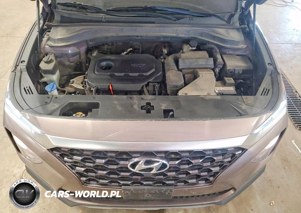 2019 Hyundai Santa Fe Sel 2.4L VIN:5NMS3CAD3KH042376 - 12