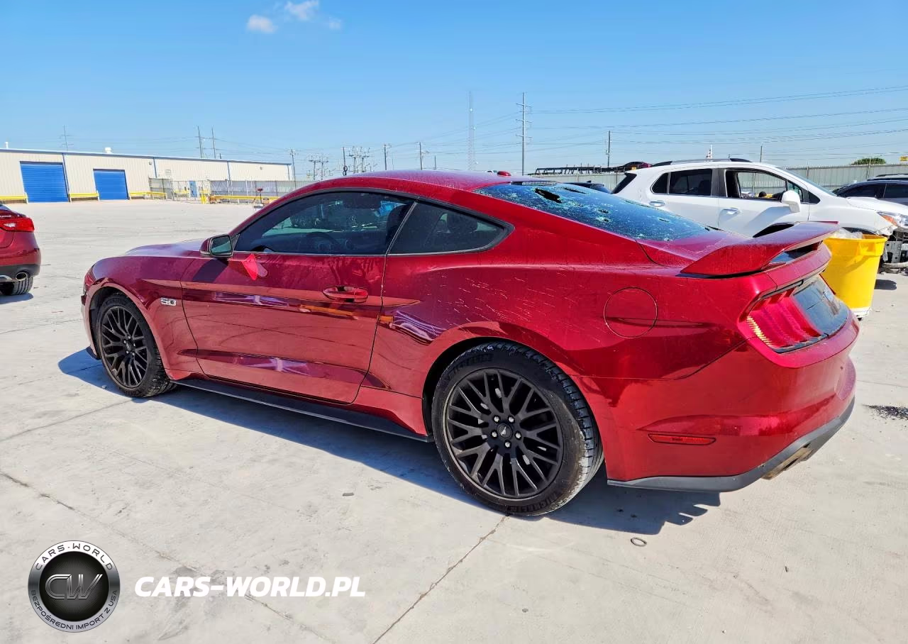2019 Ford Mustang Gt VIN:1FA6P8CF0K5157737 - 2
