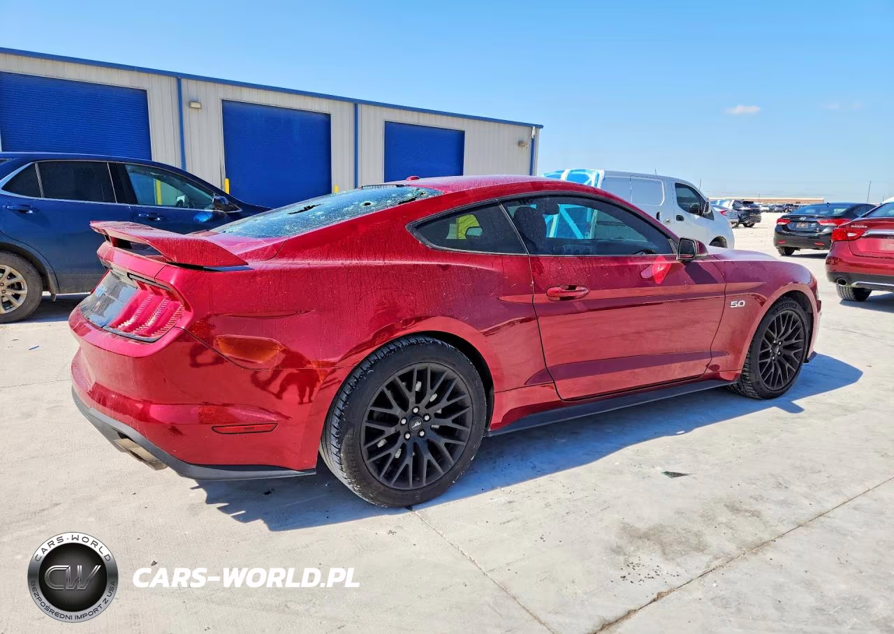 2019 Ford Mustang Gt VIN:1FA6P8CF0K5157737 - 3