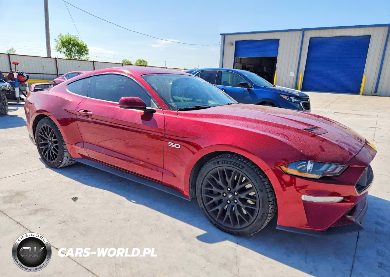 2019 Ford Mustang Gt VIN:1FA6P8CF0K5157737 - 4