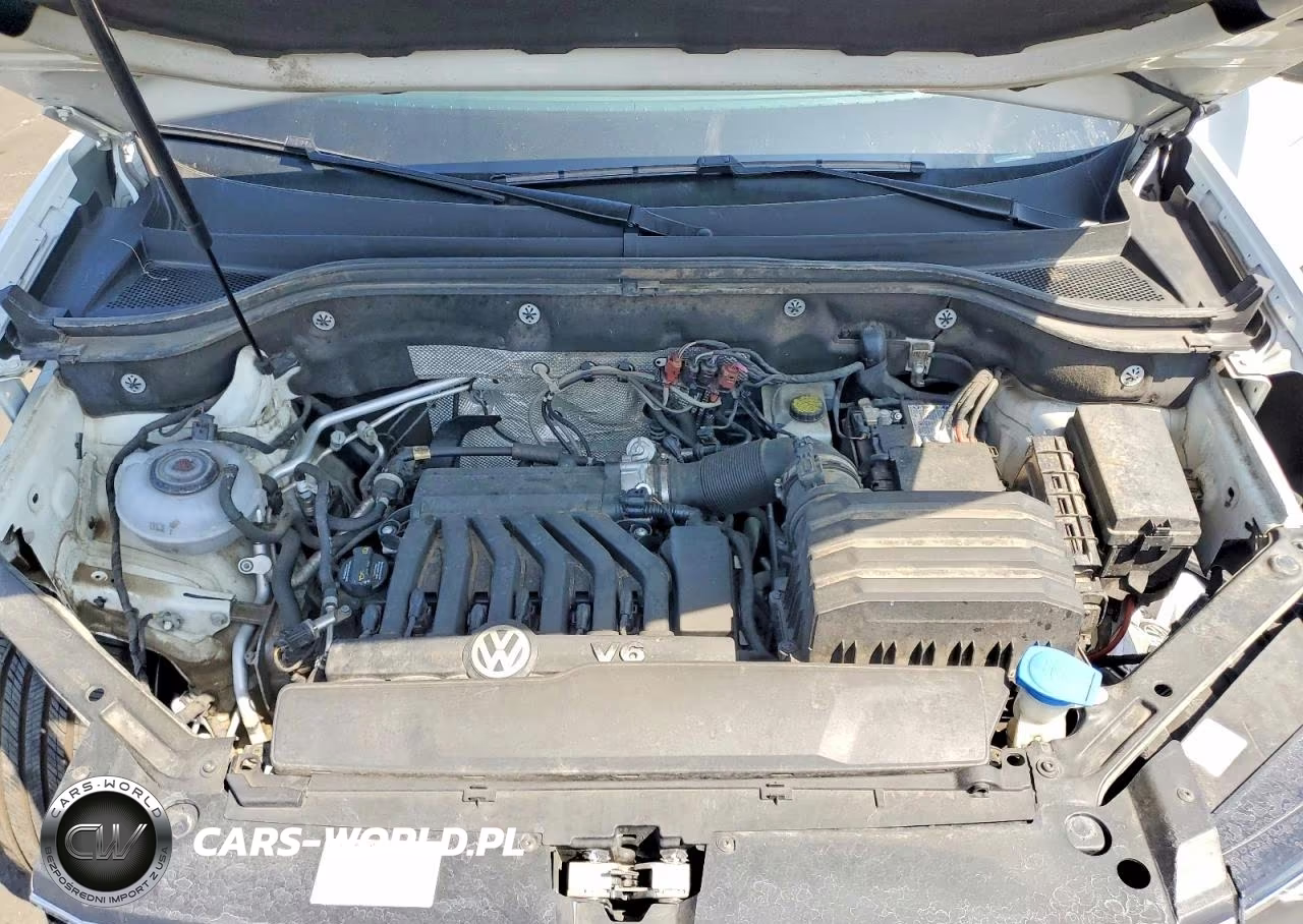 2019 Volkswagen Atlas Se VIN:1V2DR2CA5KC566856 - 12