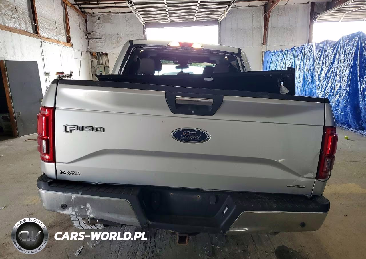 2015 Ford F-150 VIN:1FTEW1EF8FFA33339 - 6
