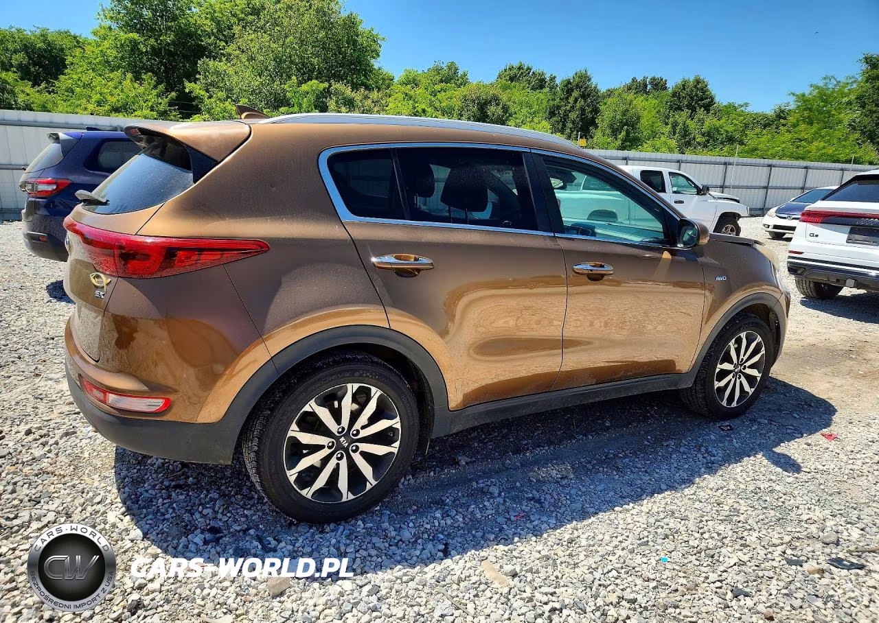 2017 Kia Sportage Ex VIN:KNDPNCAC3H7052977 - 3