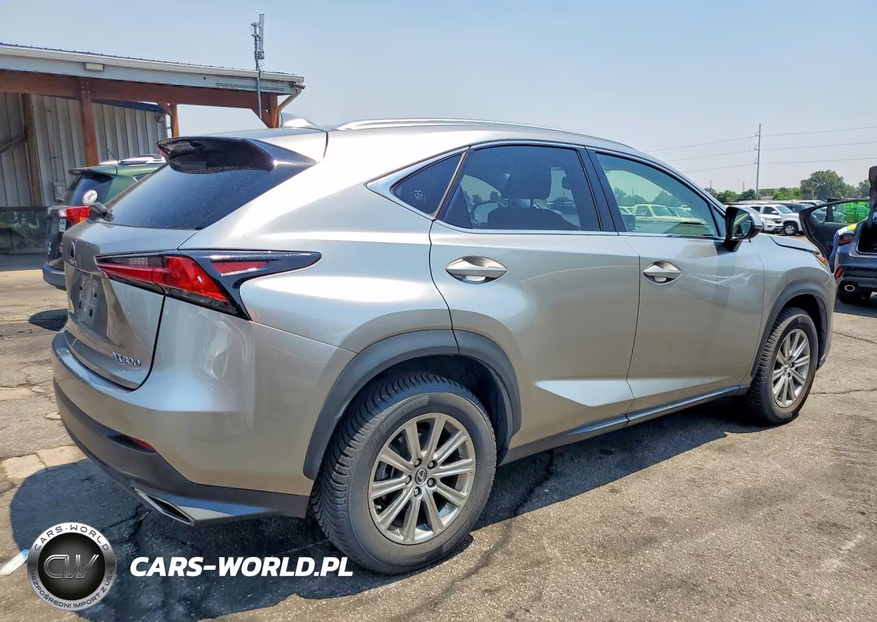2019 Lexus Nx 300 Base VIN:JTJBARBZ1K2197528 - 3