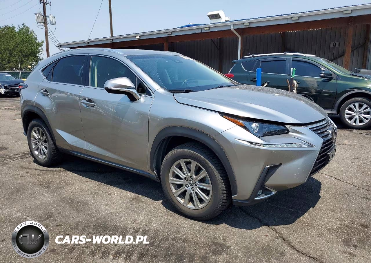 2019 Lexus Nx 300 Base VIN:JTJBARBZ1K2197528 - 4