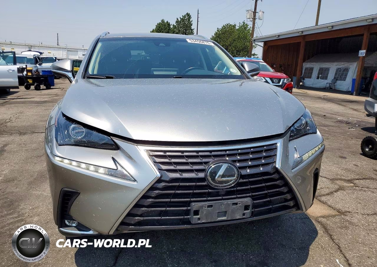 2019 Lexus Nx 300 Base VIN:JTJBARBZ1K2197528 - 5