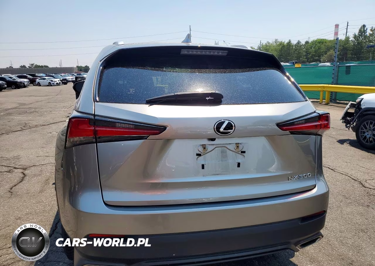 2019 Lexus Nx 300 Base VIN:JTJBARBZ1K2197528 - 6