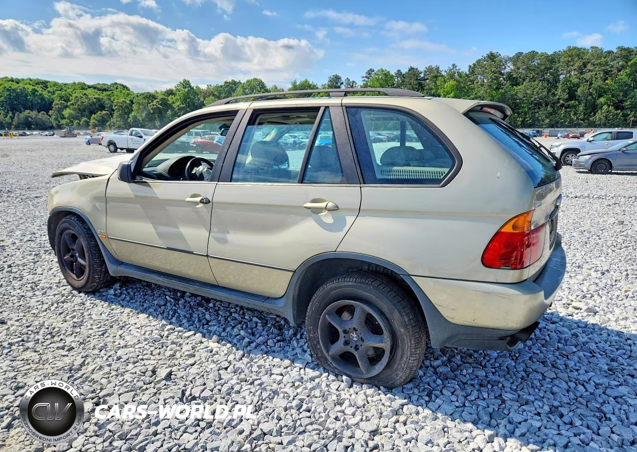 2003 BMW X5 3.0I VIN:5UXFA53533LV75609 - 2