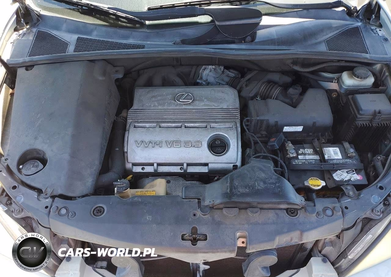 2006 Lexus Rx 330 VIN:JTJHA31U560102466 - 12