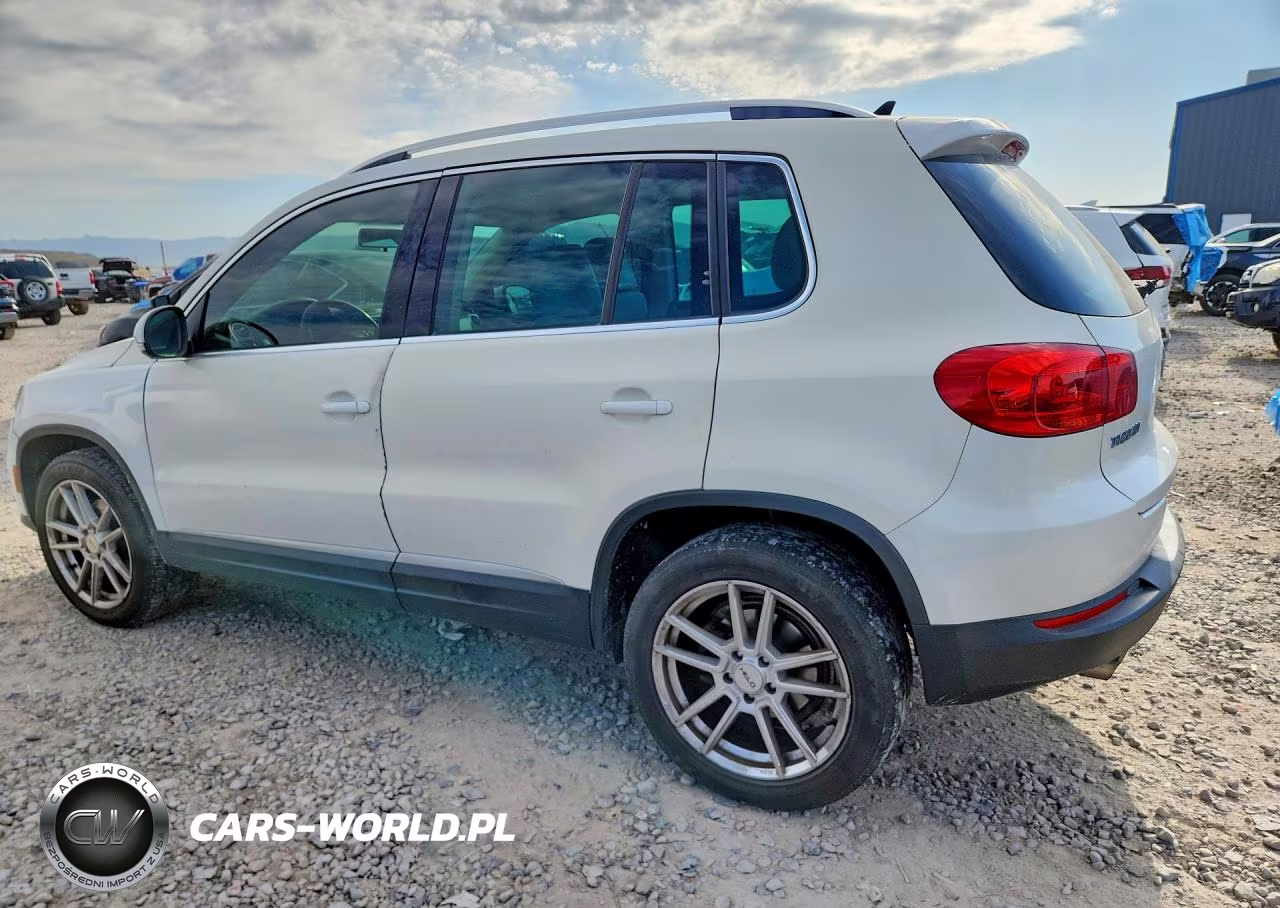 2013 Volkswagen Tiguan S VIN:WVGAV3AXXDW560464 - 2