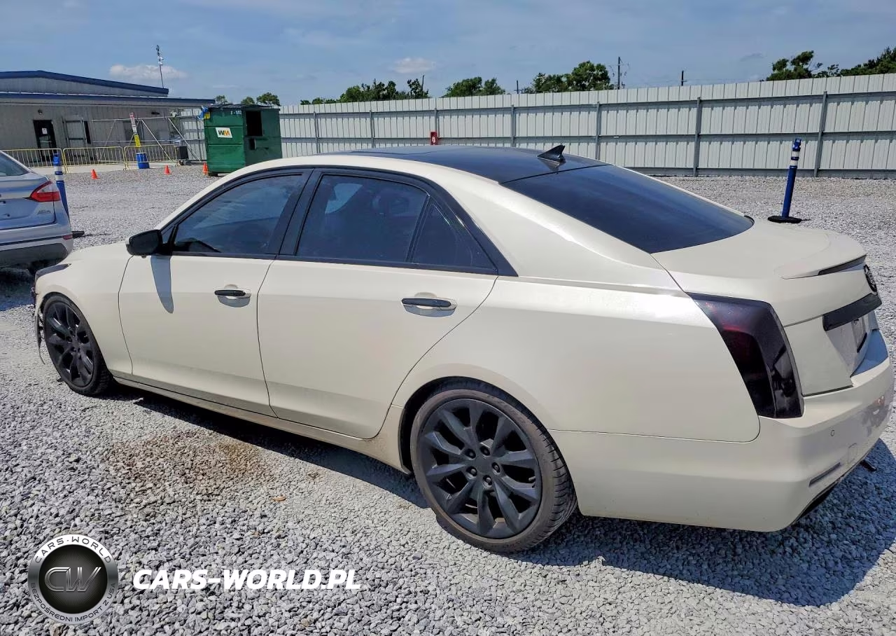 2014 Cadillac Cts Performance Collection VIN:1G6AS5S32E0134196 - 2