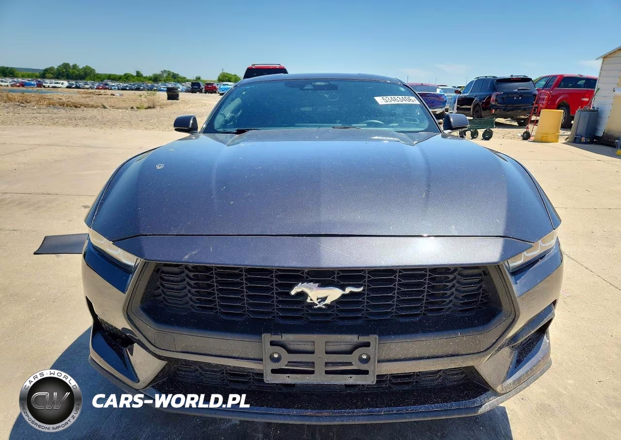 2024 Ford Mustang VIN:1FA6P8TH5R5141254 - 5