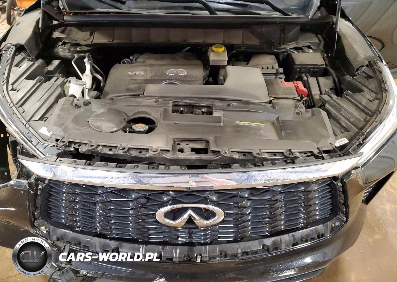 2023 Infiniti Qx60 Luxe VIN:5N1DL1FS7PC331850 - 12