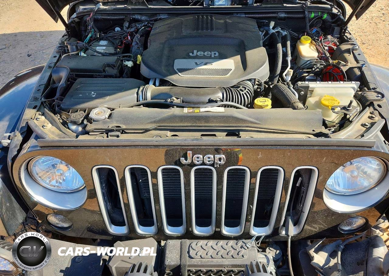 2016 Jeep Wrangler Unlimited Sahara VIN:1C4HJWEG9GL231867 - 12