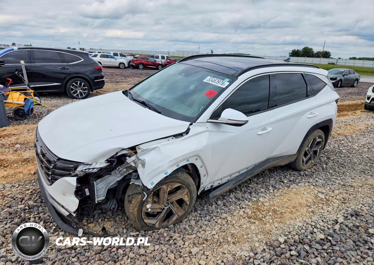 2022 Hyundai Tucson Limited VIN:5NMJE3AE0NH151087 - 1