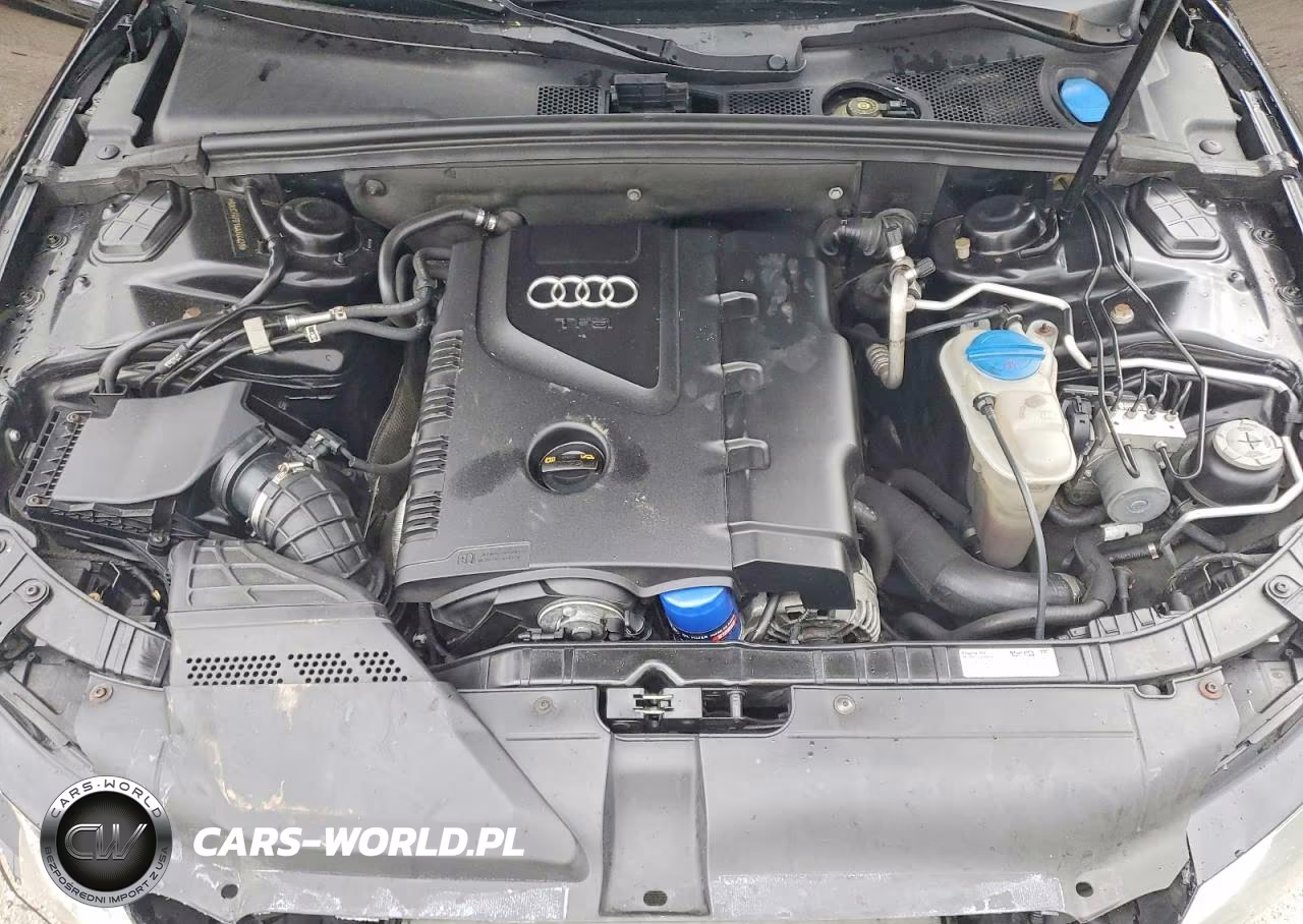 2010 Audi A5 Premium VIN:WAUCFAFR1AA044427 - 11