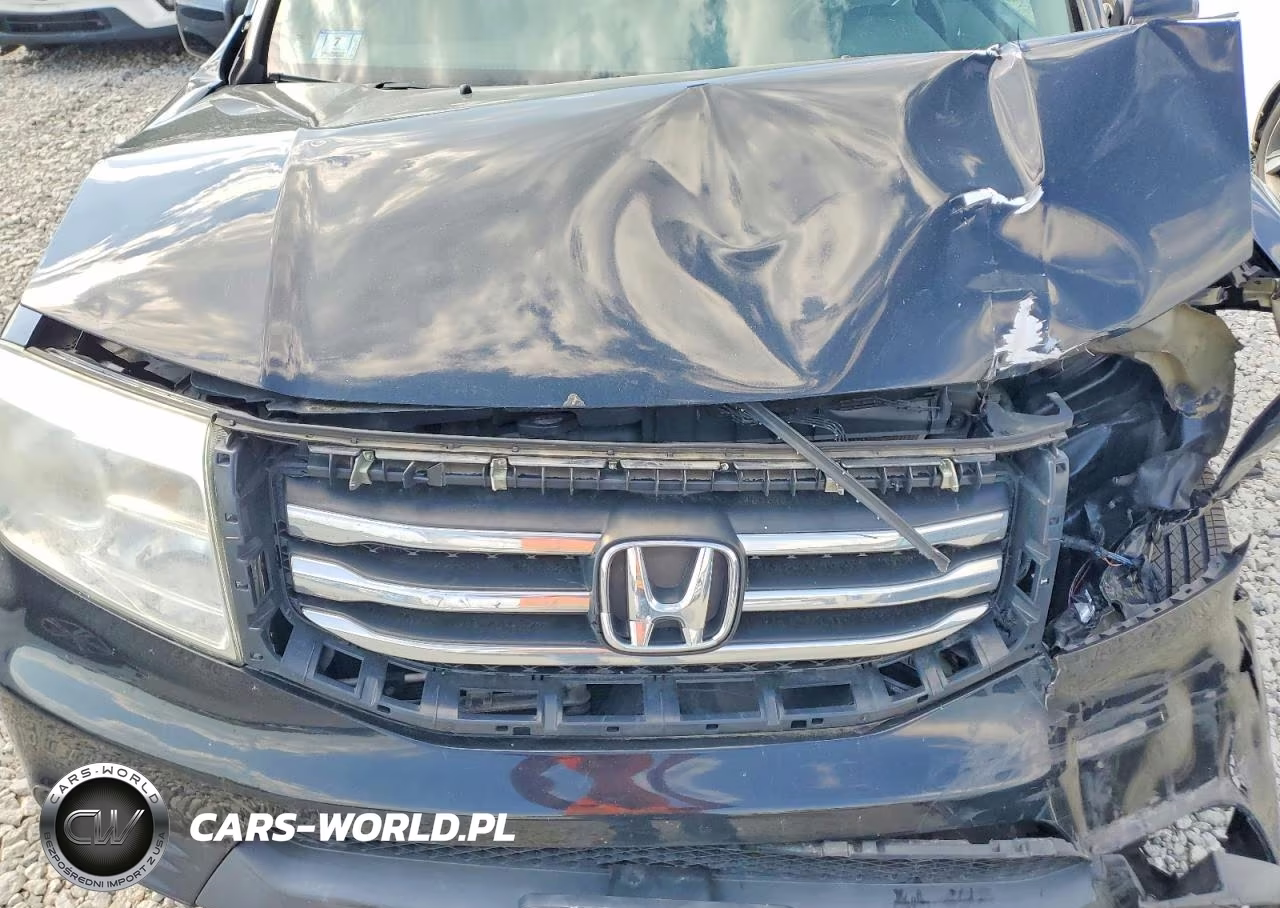 2014 Honda Pilot Ex VIN:5FNYF4H47EB002515 - 12