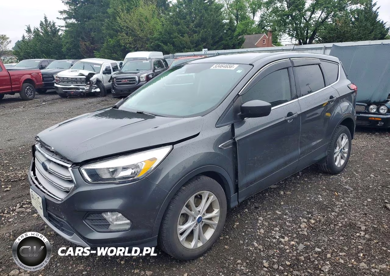 2019 Ford Escape Se
