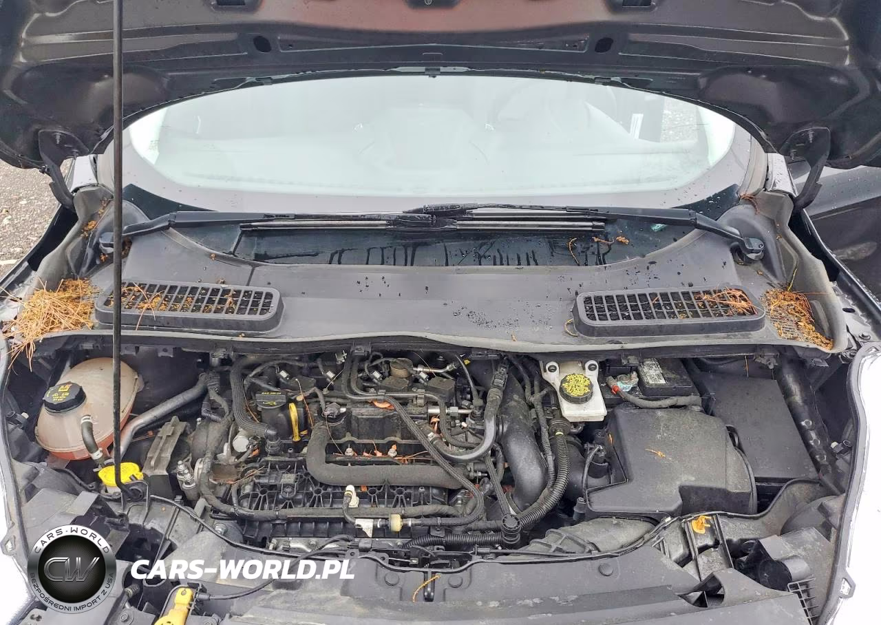 2019 Ford Escape Se VIN:1FMCU0GD3KUA94313 - 12