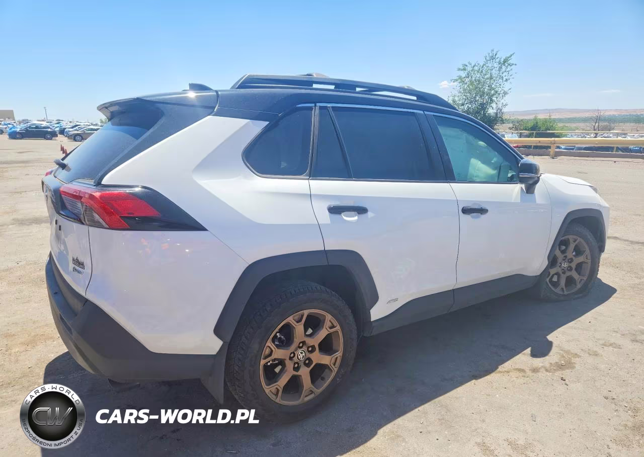 2025 Toyota Rav4 Woodland Edition VIN:2T3UWRFV4SW259306 - 3