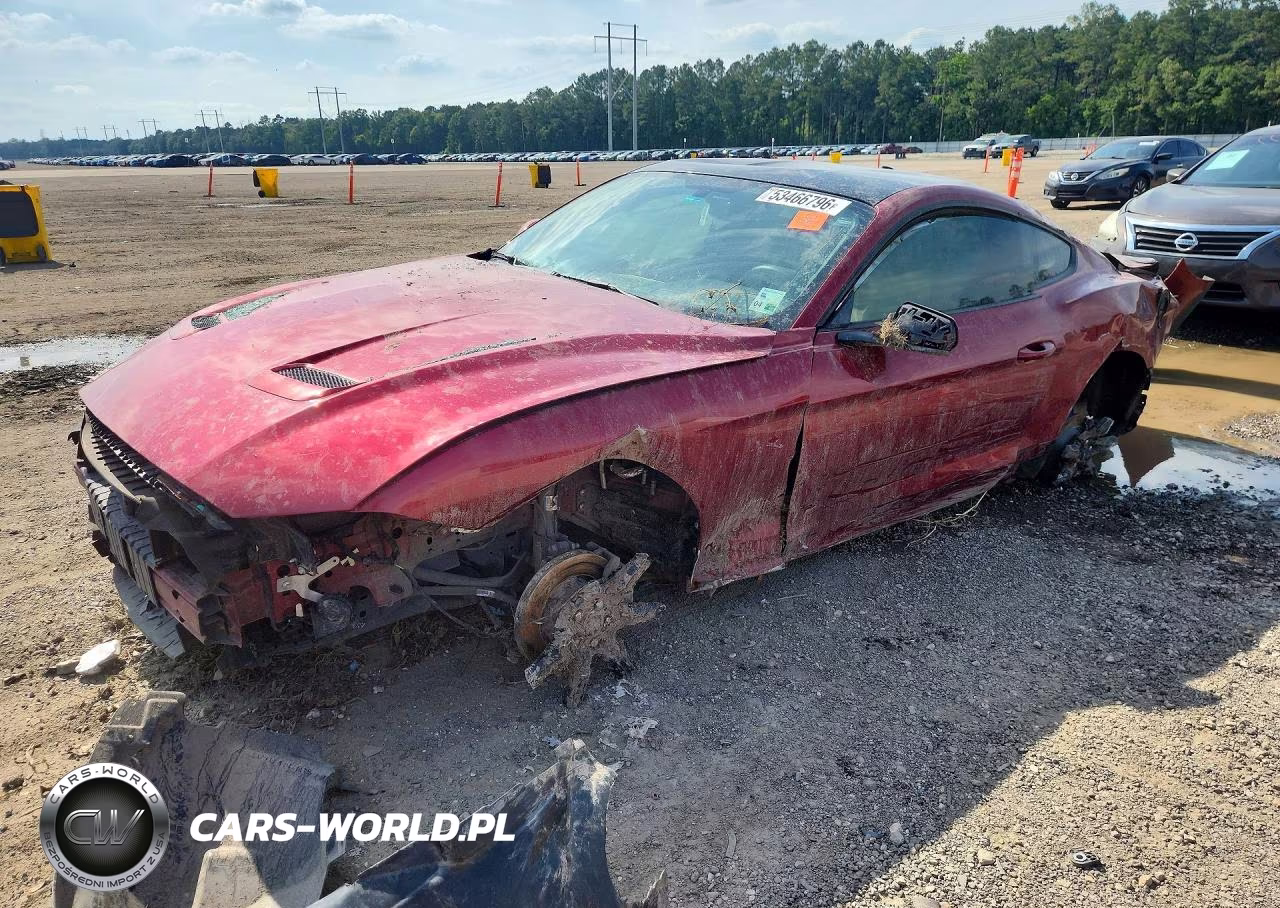 2019 Ford Mustang