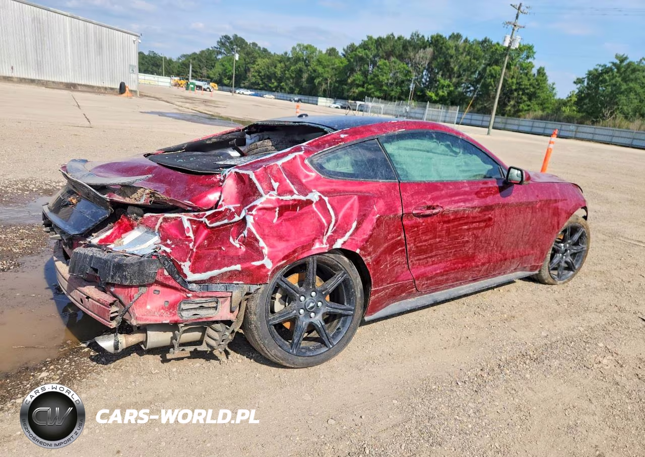 2019 Ford Mustang VIN:1FA6P8TH8K5129363 - 3