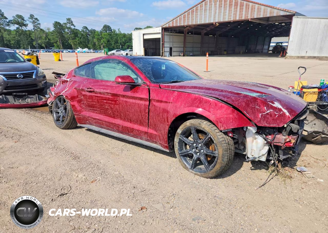 2019 Ford Mustang VIN:1FA6P8TH8K5129363 - 4