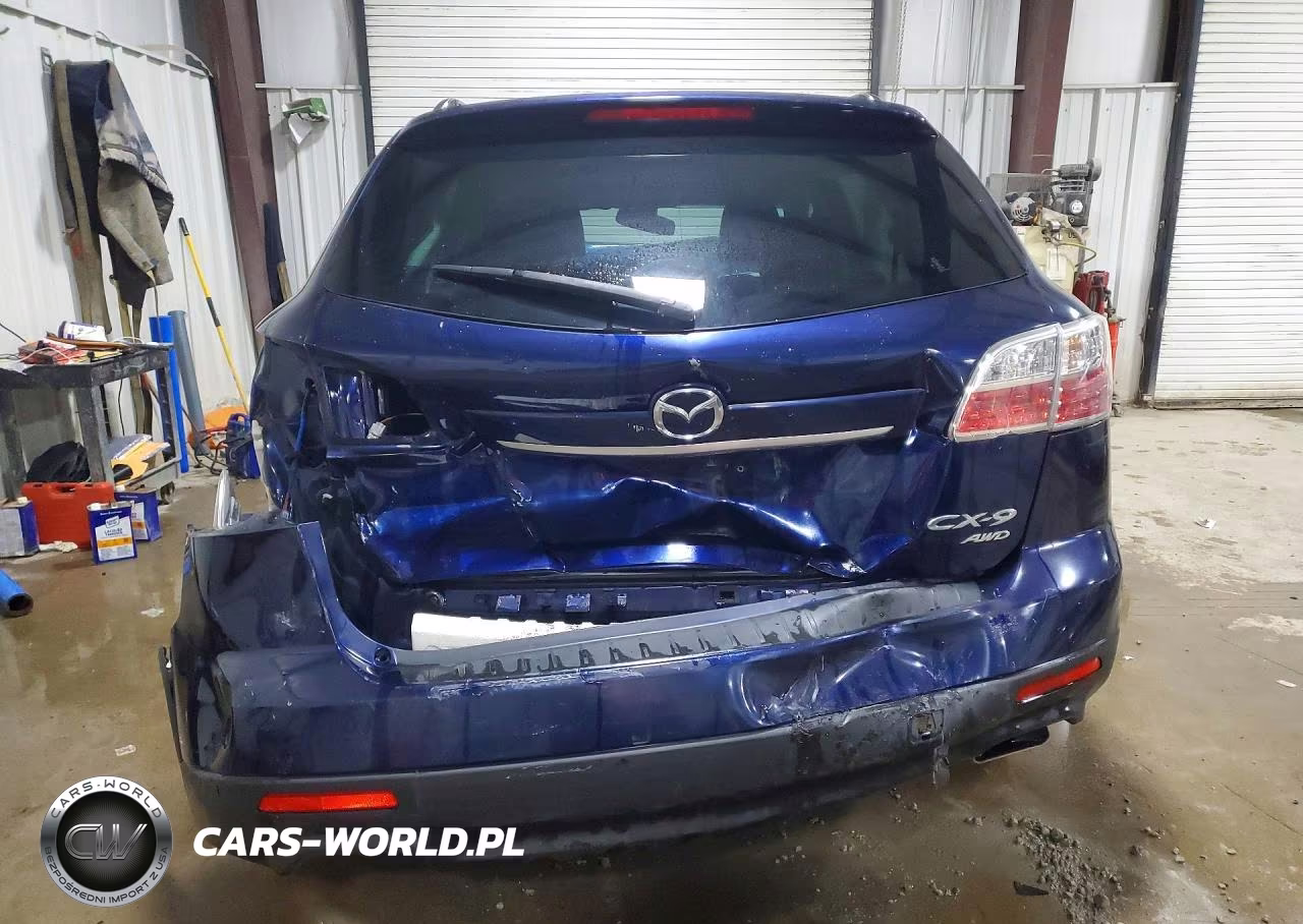 2010 Mazda Cx-9 VIN:JM3TB3MV5A0208947 - 6