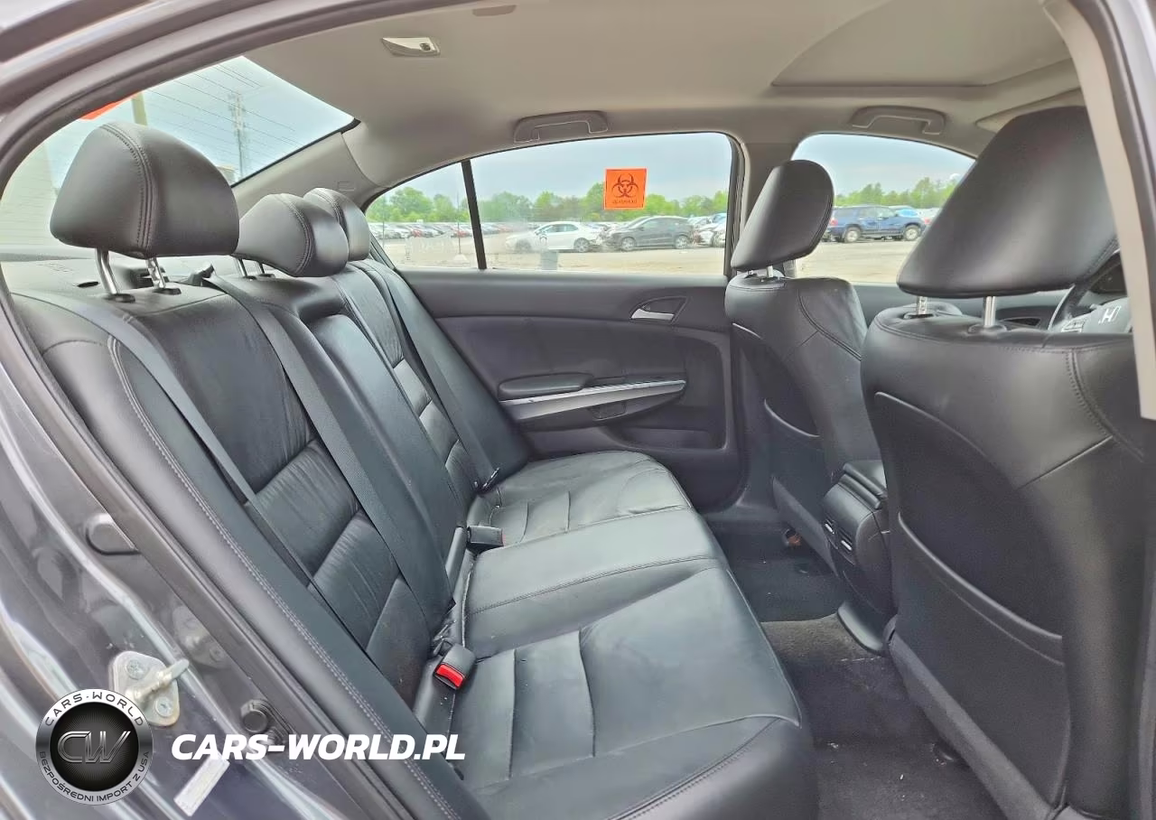 2010 Honda Accord Exl VIN:1HGCP2F84AA197995 - 10