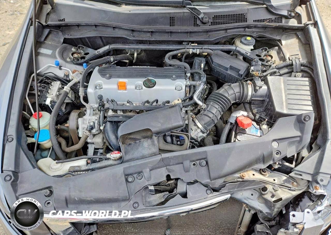 2010 Honda Accord Exl VIN:1HGCP2F84AA197995 - 11