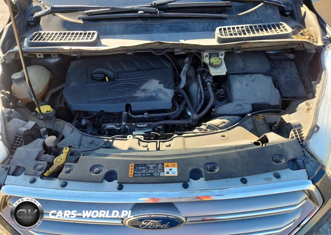 2017 Ford Escape Se VIN:1FMCU0GD6HUF08466 - 12