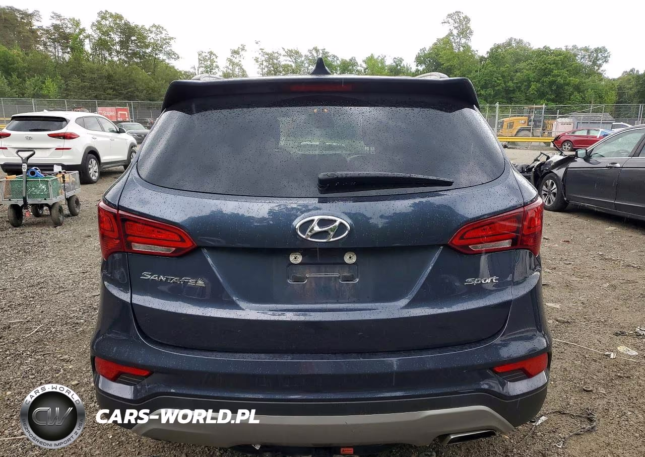 2017 Hyundai Santa Fe Sport 2.4L VIN:5NMZU3LB6HH005130 - 6