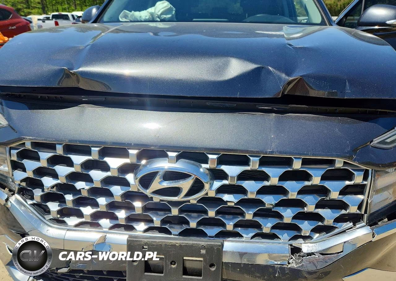 2022 Hyundai Santa Fe Sel VIN:5NMS3DAJ3NH475146 - 12