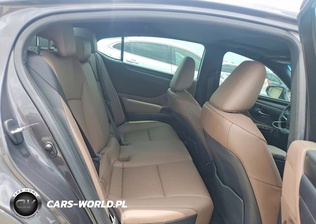2022 Lexus Es 350 Base VIN:58ADZ1B16NU114091 - 10