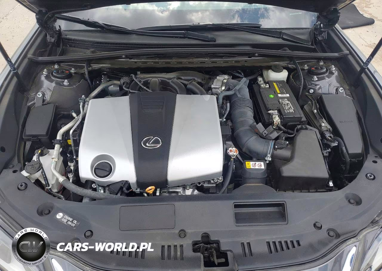 2022 Lexus Es 350 Base VIN:58ADZ1B16NU114091 - 11