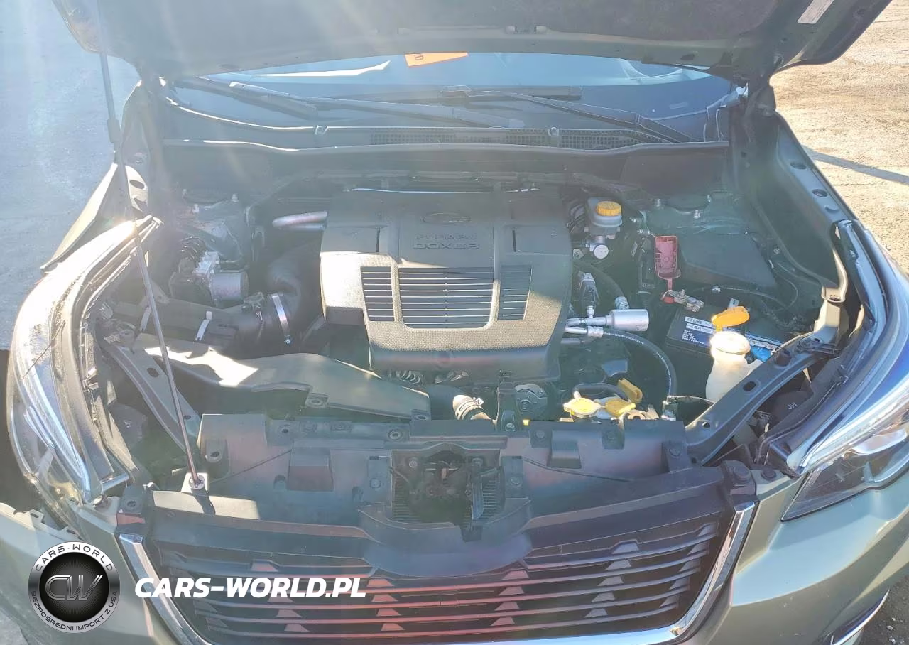 2019 Subaru Forester Limited VIN:JF2SKAUC8KH537671 - 12