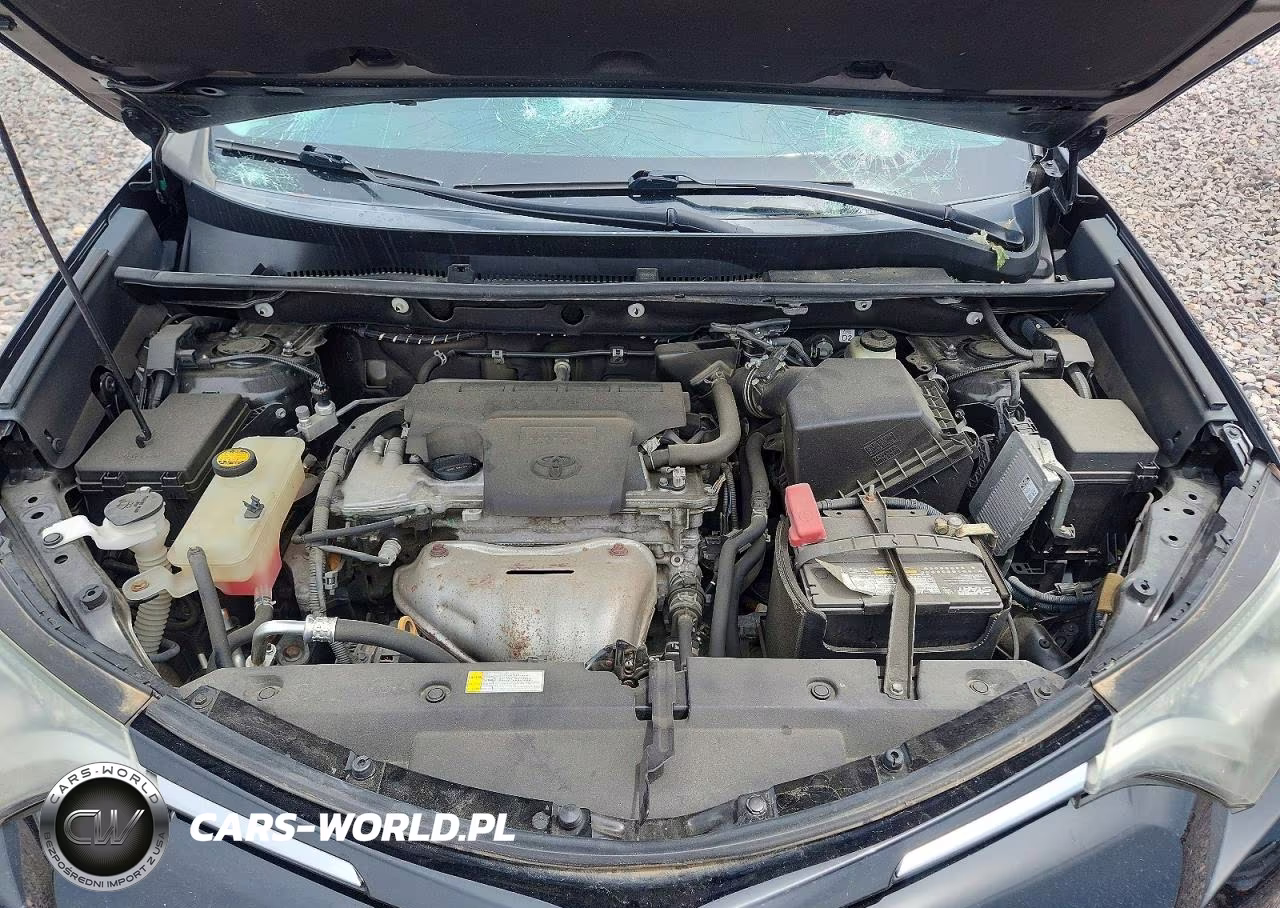 2018 Toyota Rav4 Xle VIN:2T3RFREV5JW704335 - 12