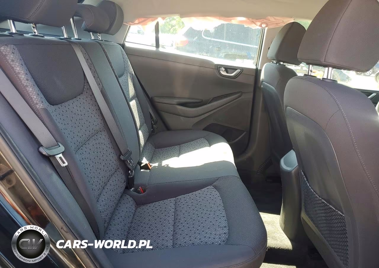2018 Hyundai Ioniq Blue VIN:KMHC65LC9JU076708 - 10