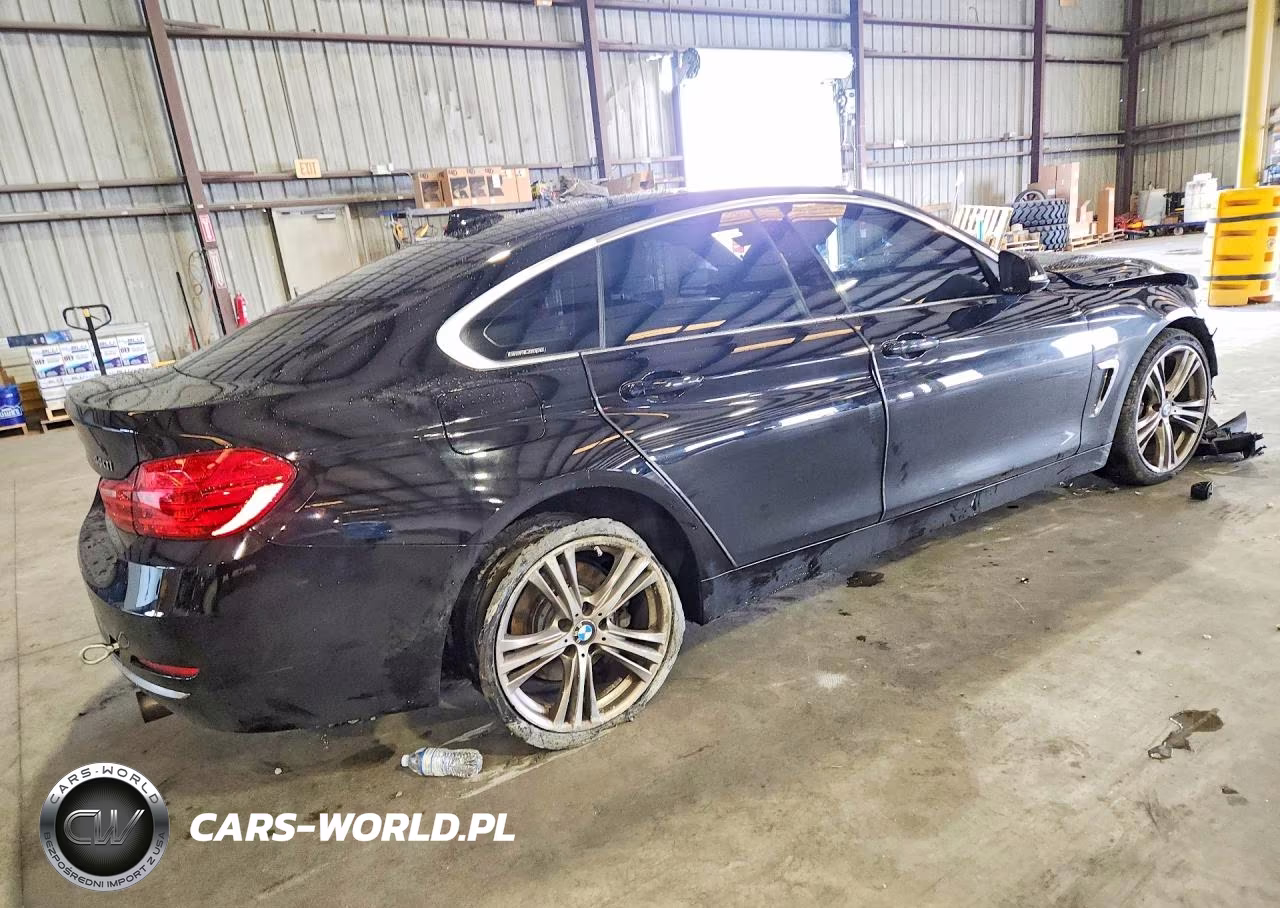 2017 BMW 440Xi Gran Coupe VIN:WBA4E5C54HG189114 - 3