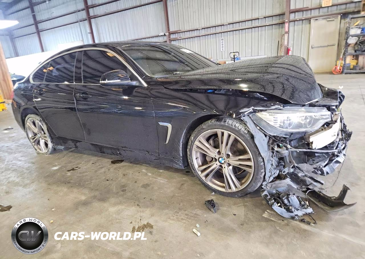 2017 BMW 440Xi Gran Coupe VIN:WBA4E5C54HG189114 - 4