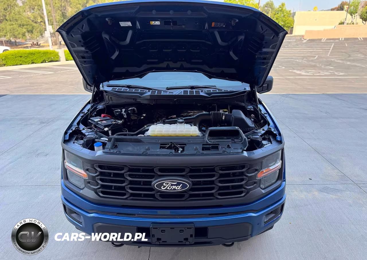 2025 Ford F150 Stx VIN:1FTEW2LP2SKD91894 - 7